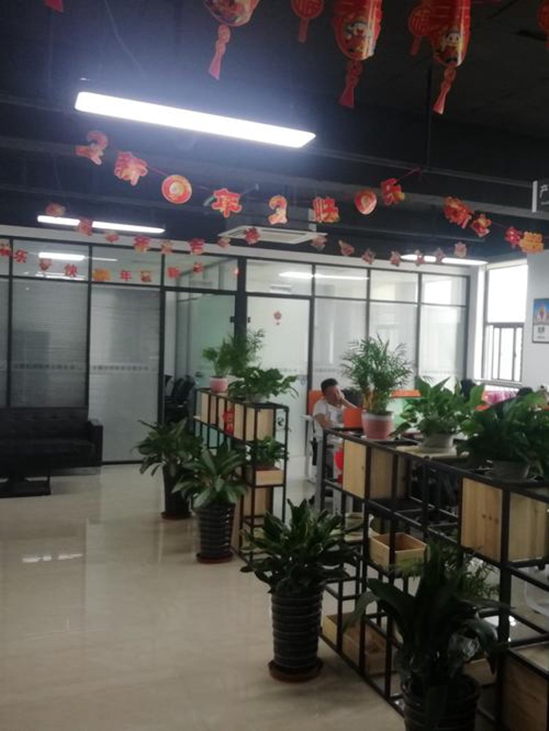 定制化企业管理系统：一场内部革命